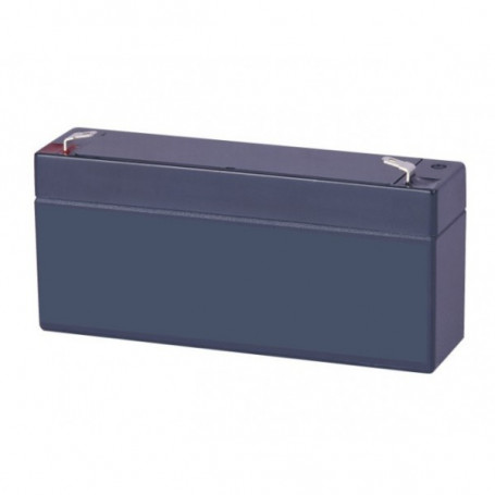 Batterie pour S29, SW